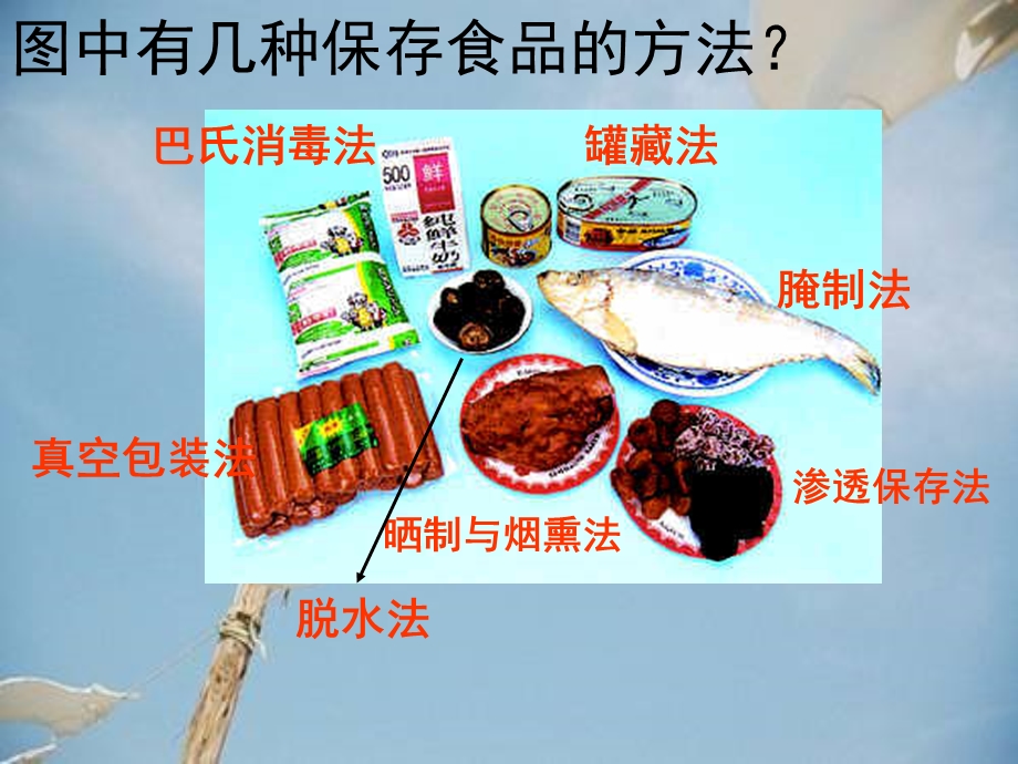 细菌、真菌与食品的保存.ppt_第3页