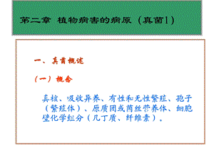 第二章植物病害的病原真菌1.ppt