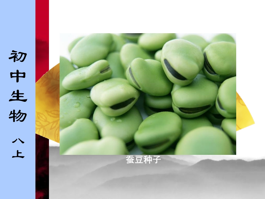 生物的生长和发育.ppt_第3页