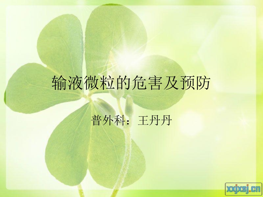 输液微粒的危害及.ppt_第1页