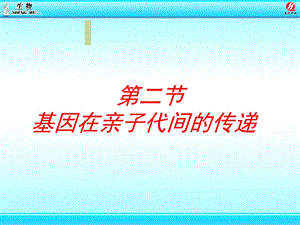 基因在亲子代间的传递静.ppt