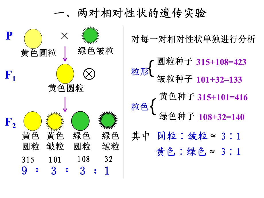 新建孟德尔的豌豆杂交实验(一).ppt_第3页