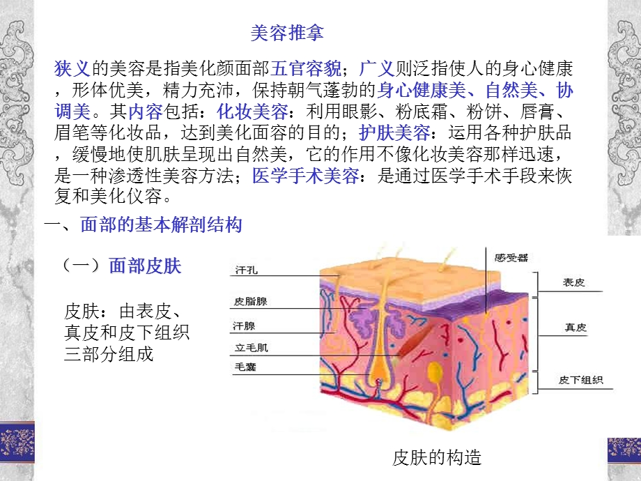 美容推拿减肥推拿.ppt_第1页