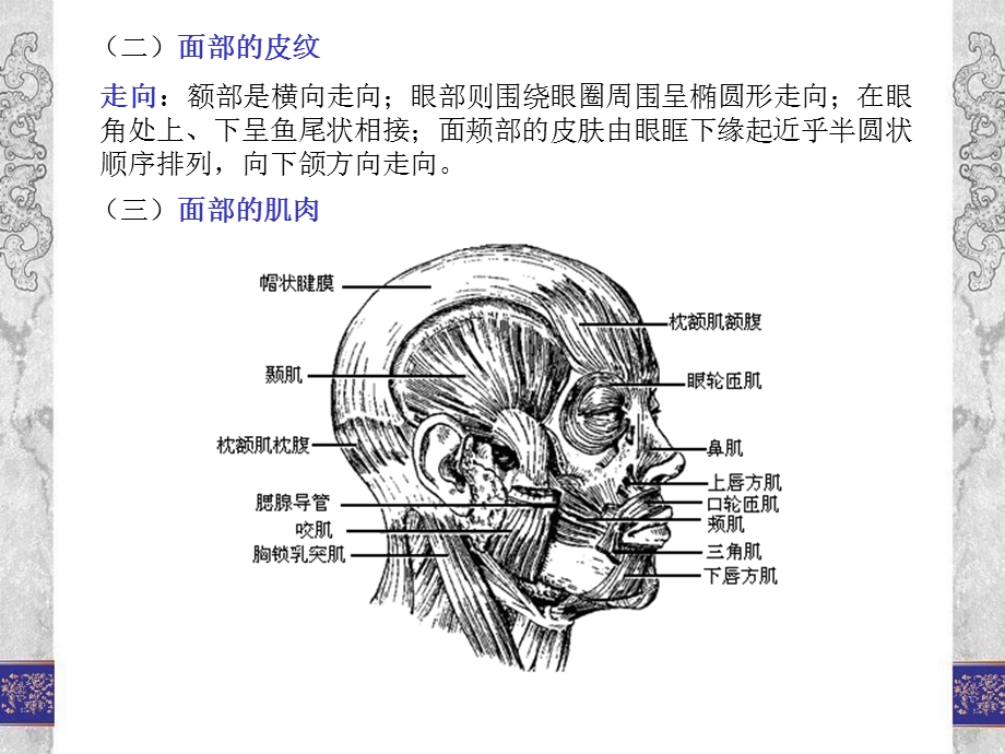 美容推拿减肥推拿.ppt_第3页