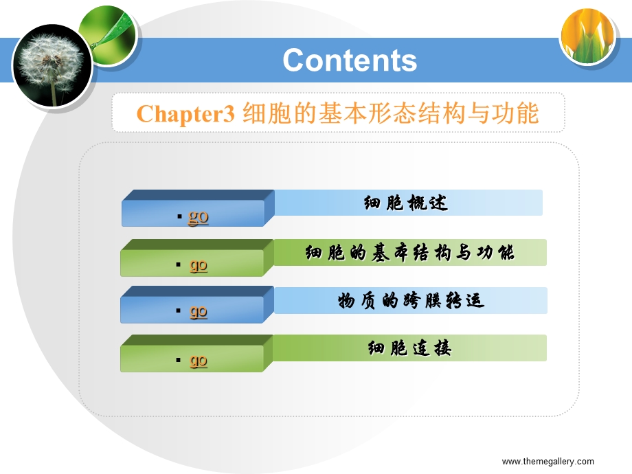 3细胞的基本形态结构与功能.ppt_第1页