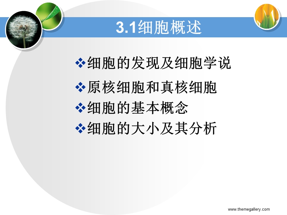 3细胞的基本形态结构与功能.ppt_第3页