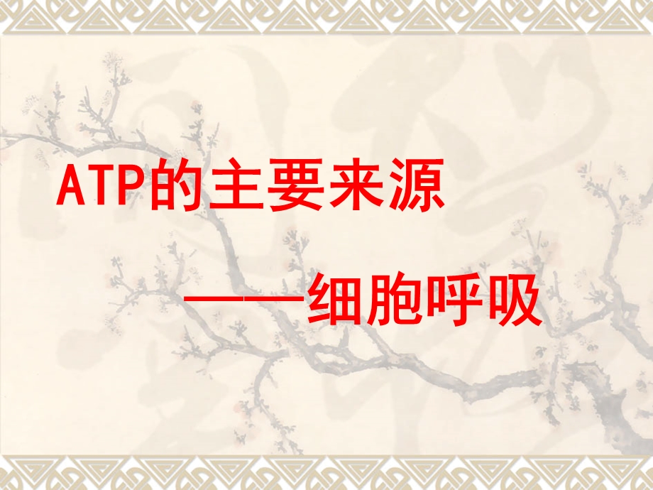 细胞呼吸(一轮复习).ppt_第1页