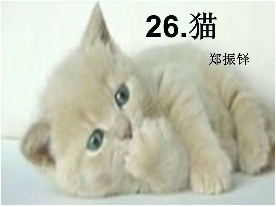 郑振铎《猫》PPT.ppt_第1页