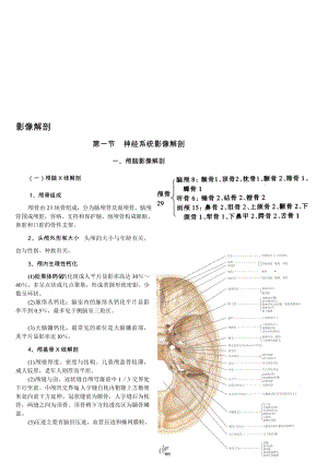 第七章影像解剖.doc