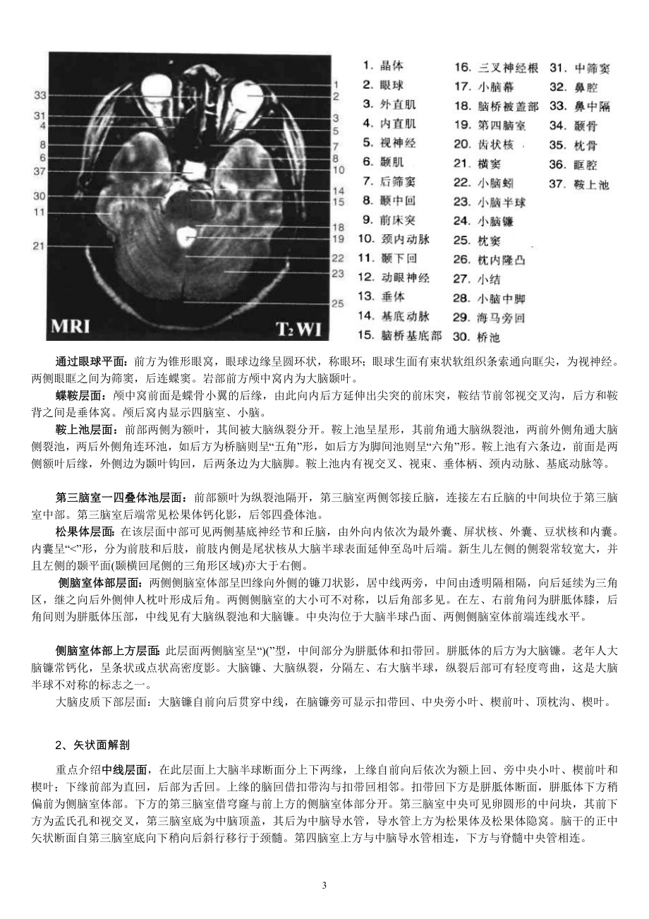 第七章影像解剖.doc_第3页