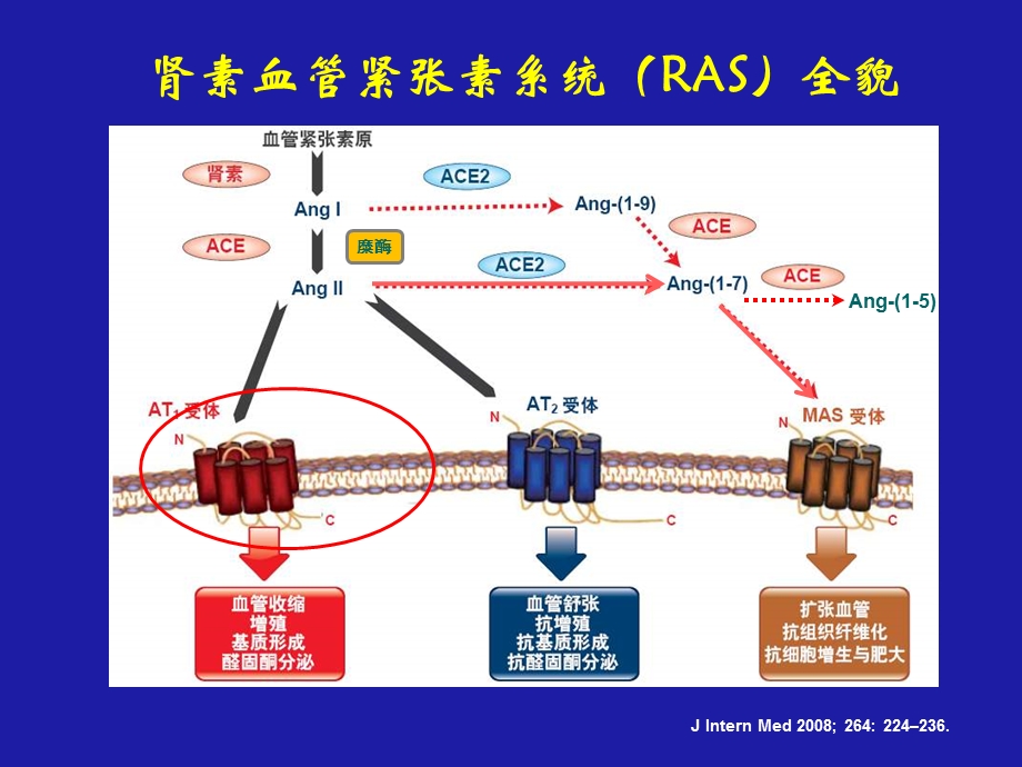 复旦大学附属中山医院上海市心血管病研究所.ppt_第2页