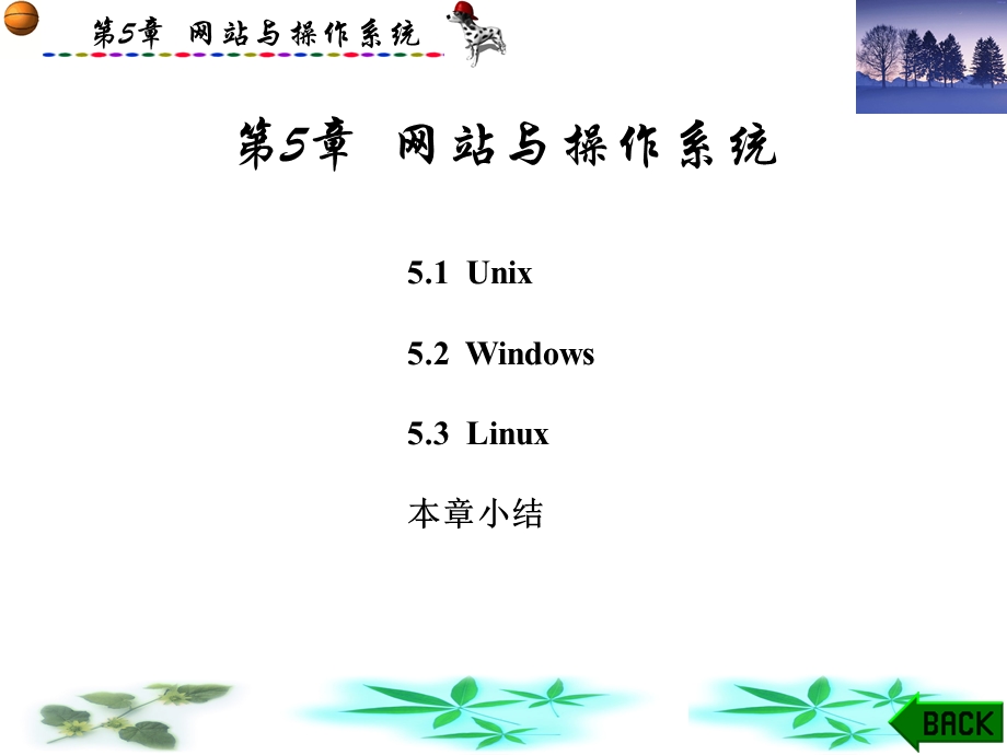 网站建设与维护(崔良海)第5章.ppt_第1页