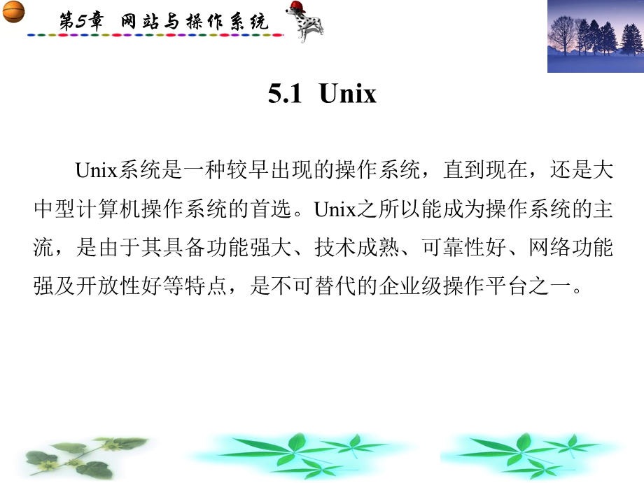 网站建设与维护(崔良海)第5章.ppt_第2页