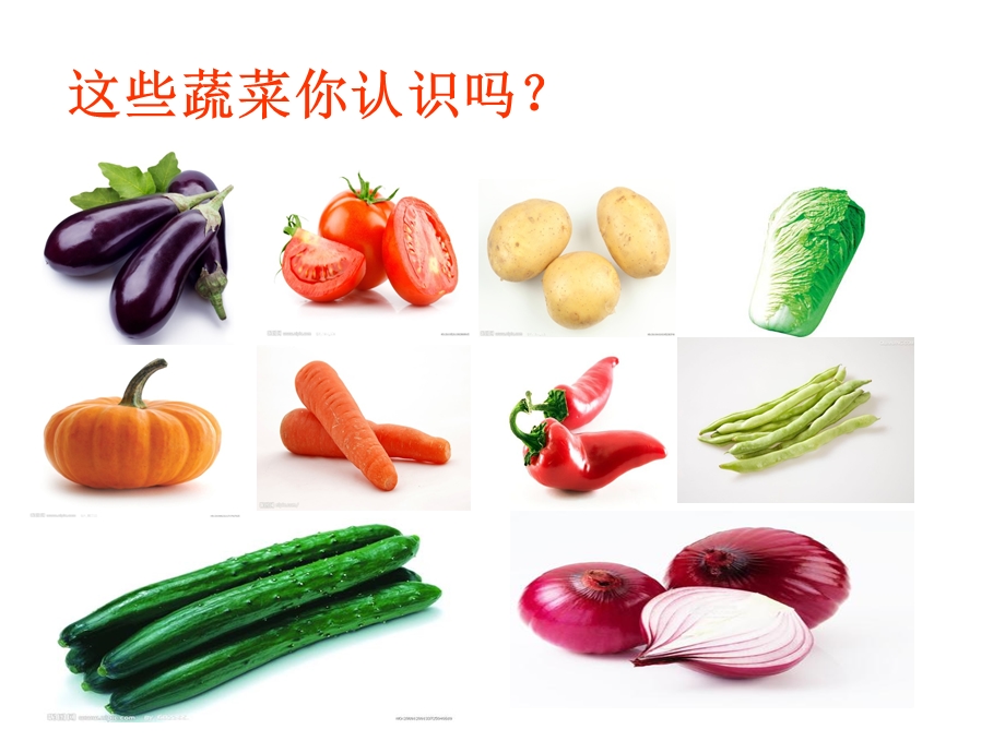 认识常见的蔬菜.ppt_第2页