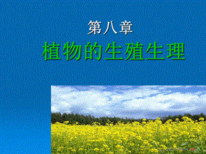 第八部分植物的生殖生理.ppt