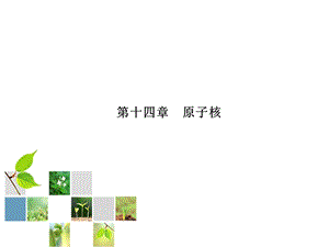 药学物理原子物理.ppt