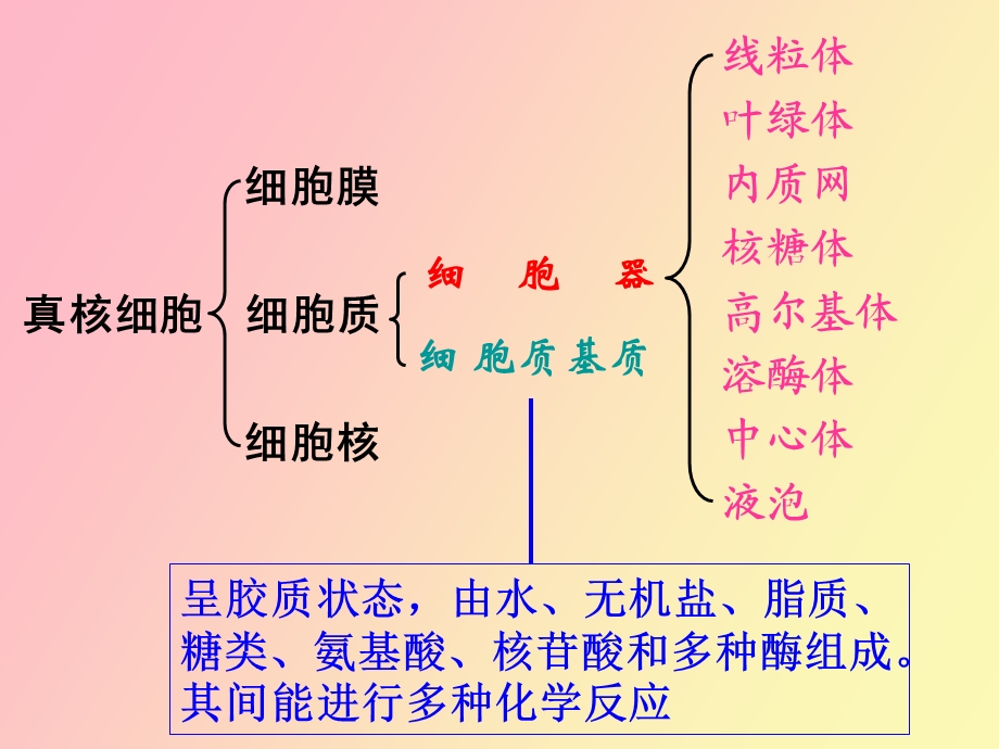 细胞器的分工合作.ppt_第3页