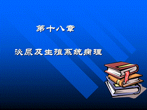 泌尿及生殖系统修.ppt