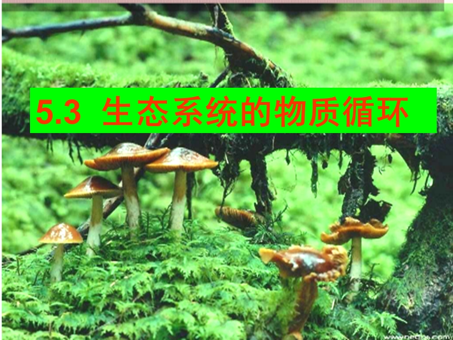 生态系统的物质循环(人教版必修3).ppt_第2页