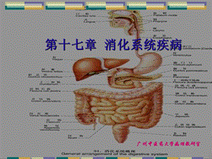 消化系统常见疾病PPT.ppt