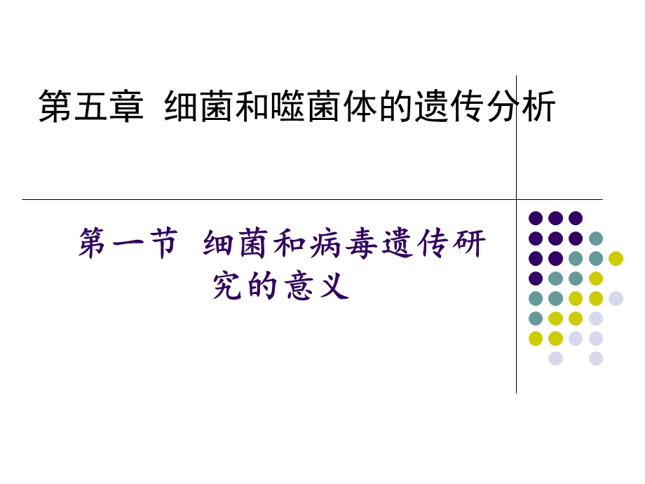 细菌和噬菌体的遗传分析.ppt_第1页