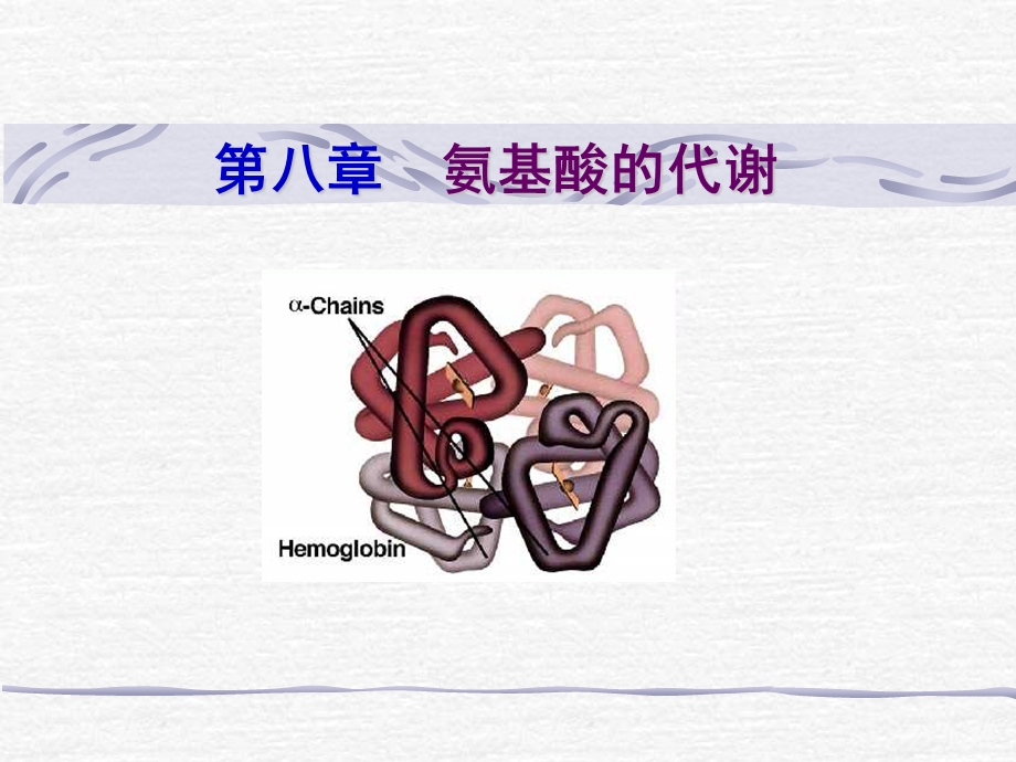 第八章含氮化合物代谢.ppt_第1页