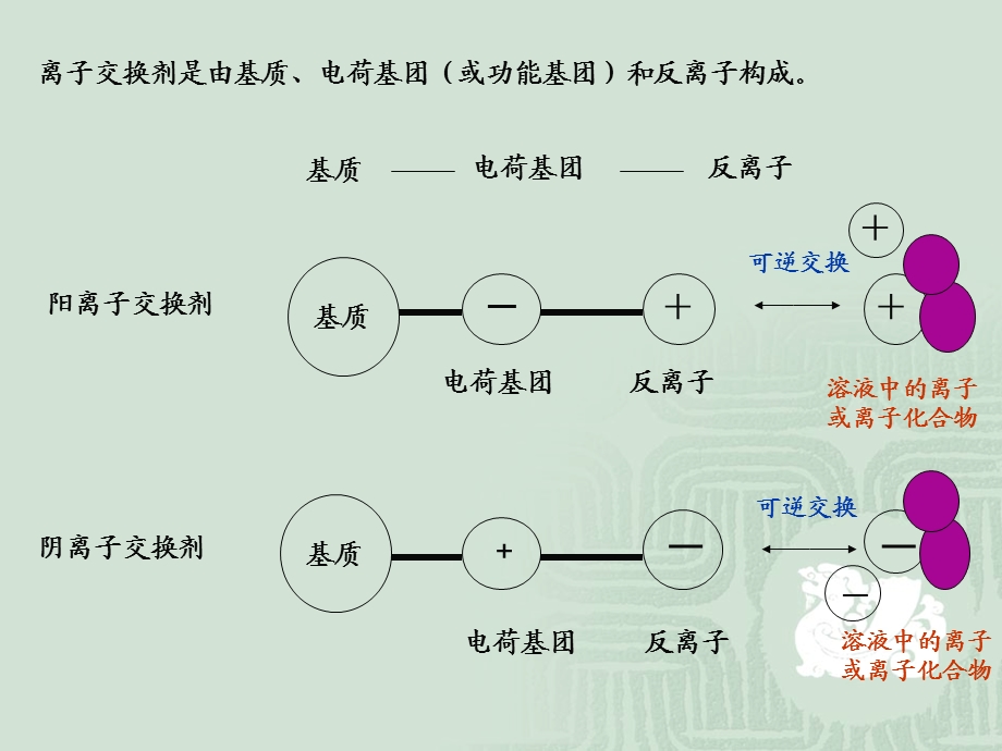 离子交换柱层析分离纯化蔗糖酶.ppt_第3页