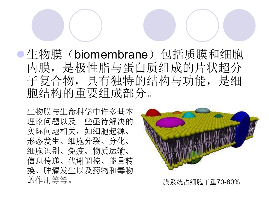 生物膜的结构与功能.ppt_第2页