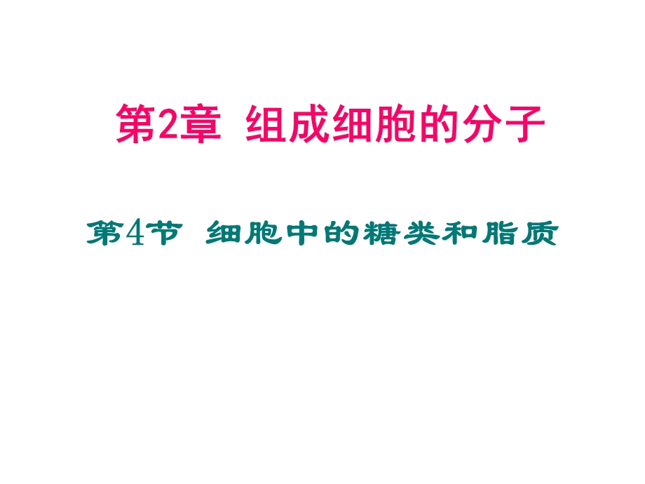 糖类和脂质表格.ppt_第1页