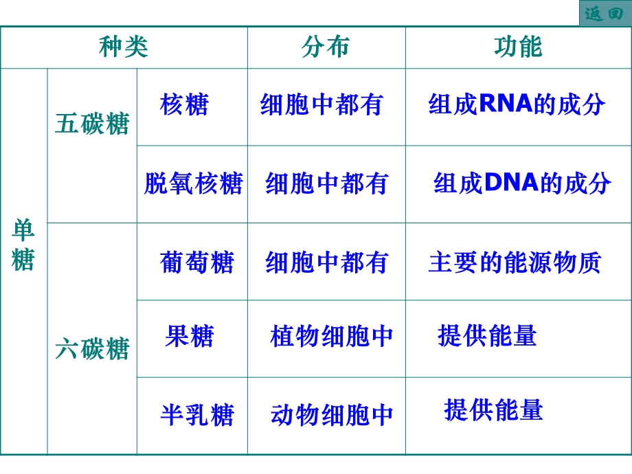 糖类和脂质表格.ppt_第3页