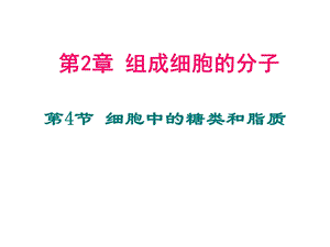 糖类和脂质表格.ppt