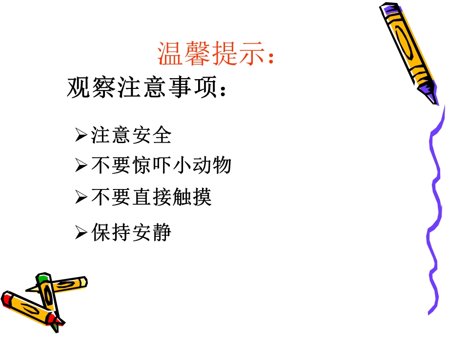 校园里的小动物.ppt_第3页