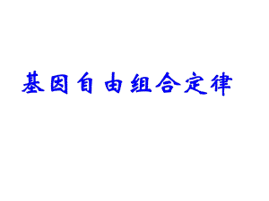 基因的自由组合定律yong.ppt