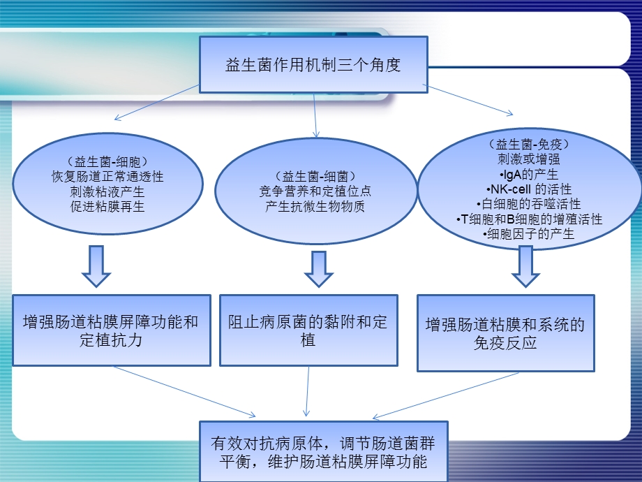 益生菌作用机制.ppt_第2页