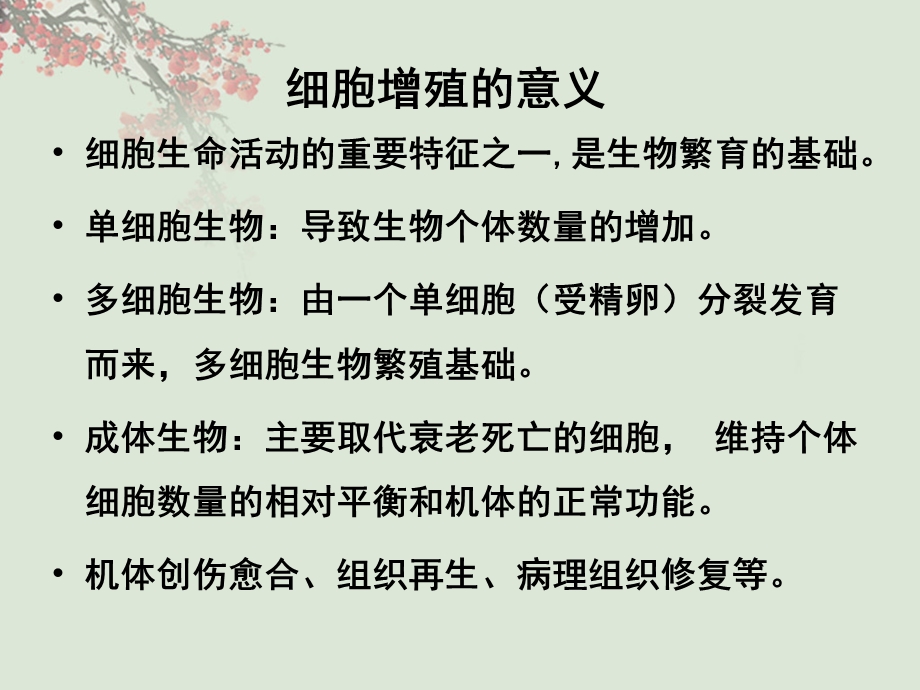 细胞周期与调控].ppt_第2页