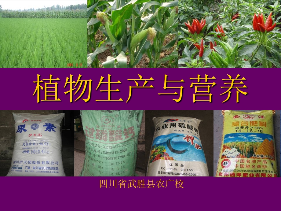 各位领导专家评委同行.ppt_第2页