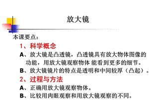 教科版科学六下放大镜课件.ppt