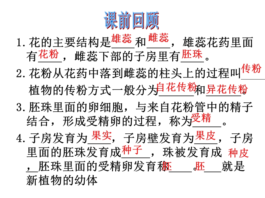 绿色植物与生物圈的水循环(PPT).ppt_第2页