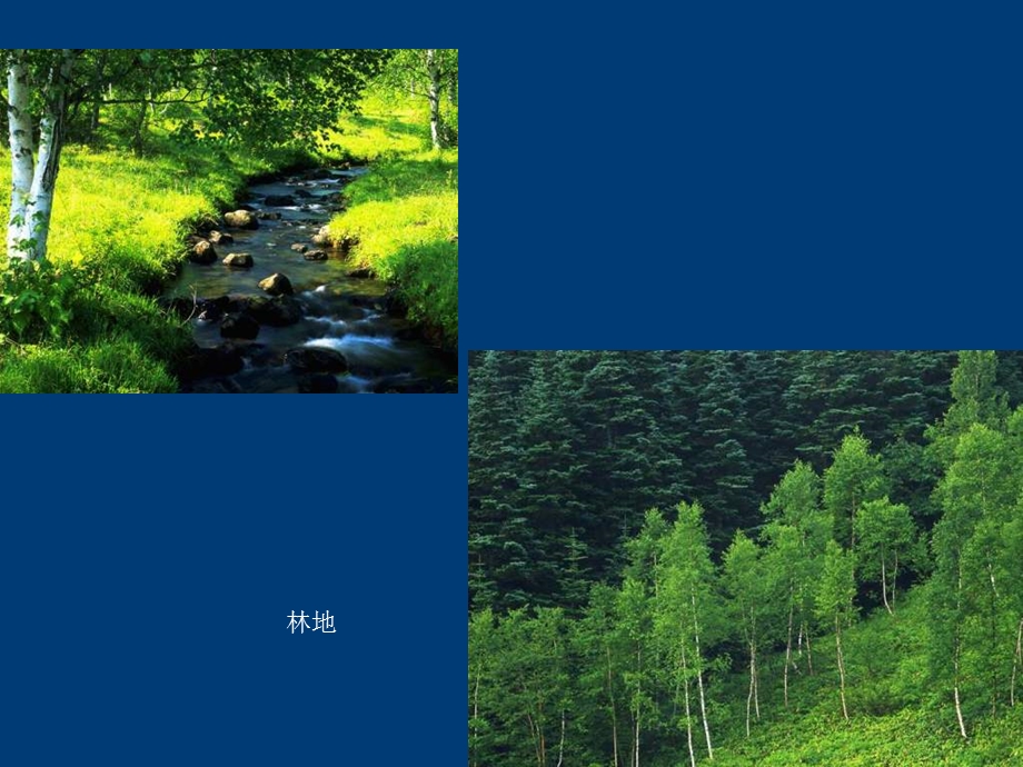 第二节土地资源课件.ppt_第3页