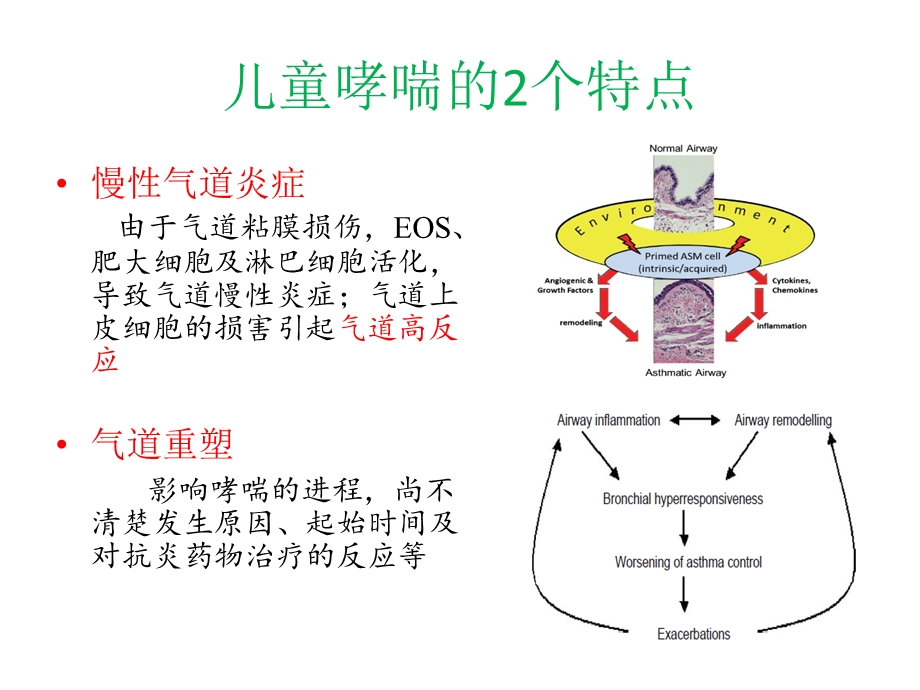 气道重塑(重构)及目前对策.ppt_第2页