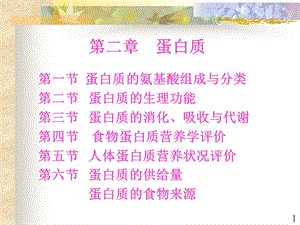 营养基础蛋白质.ppt