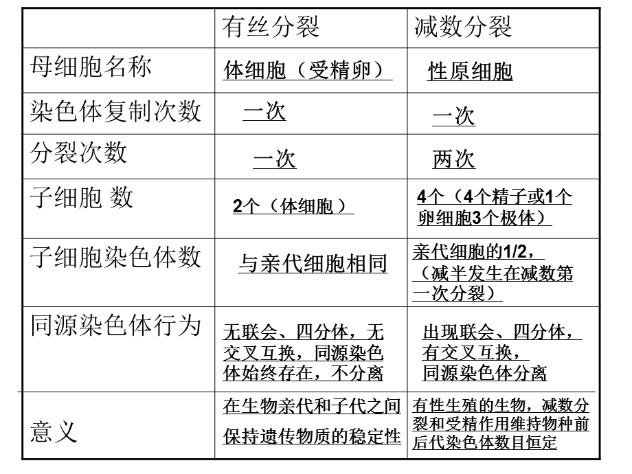 细胞分裂与遗传变异.ppt_第3页