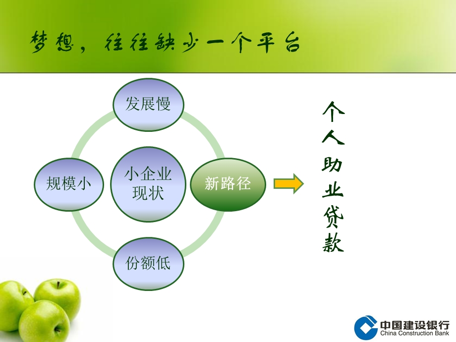 个人助业贷款方案.ppt_第3页