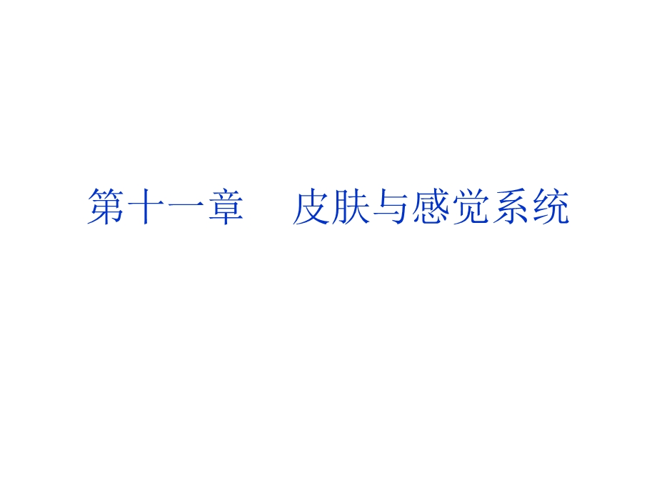 皮肤与感觉系统.ppt_第1页