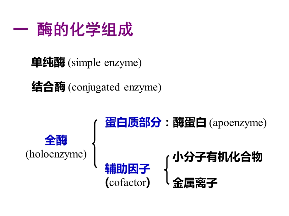 酶的结构和功能.ppt_第2页