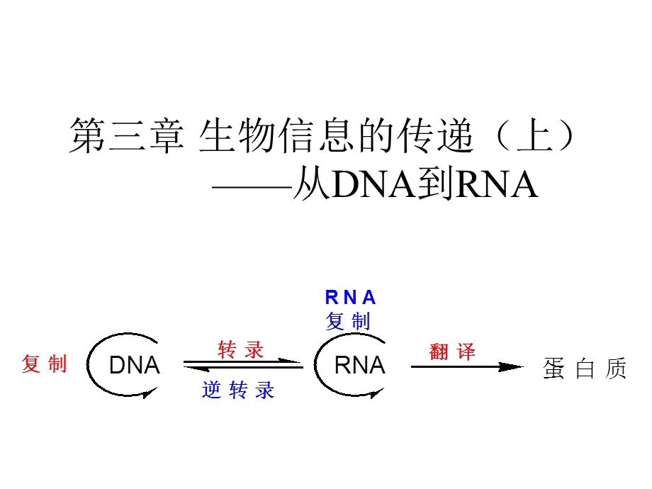 生物信息的传递上.ppt_第1页