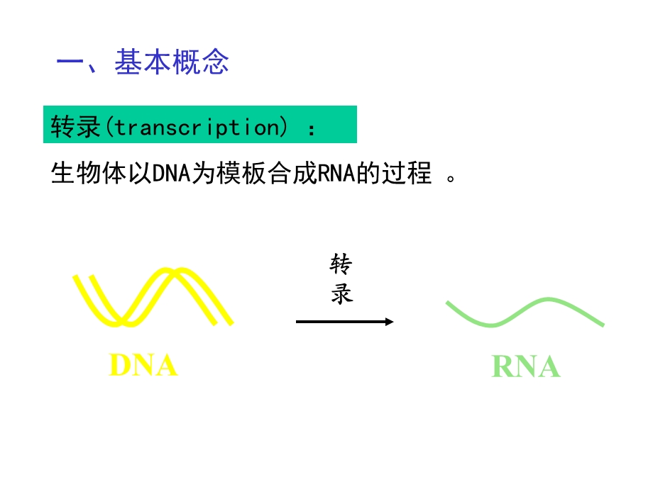 生物信息的传递上.ppt_第3页