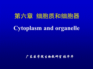 细胞质与细胞器细胞生物学.ppt