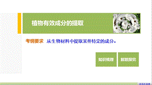 植物有效成分的提取.ppt