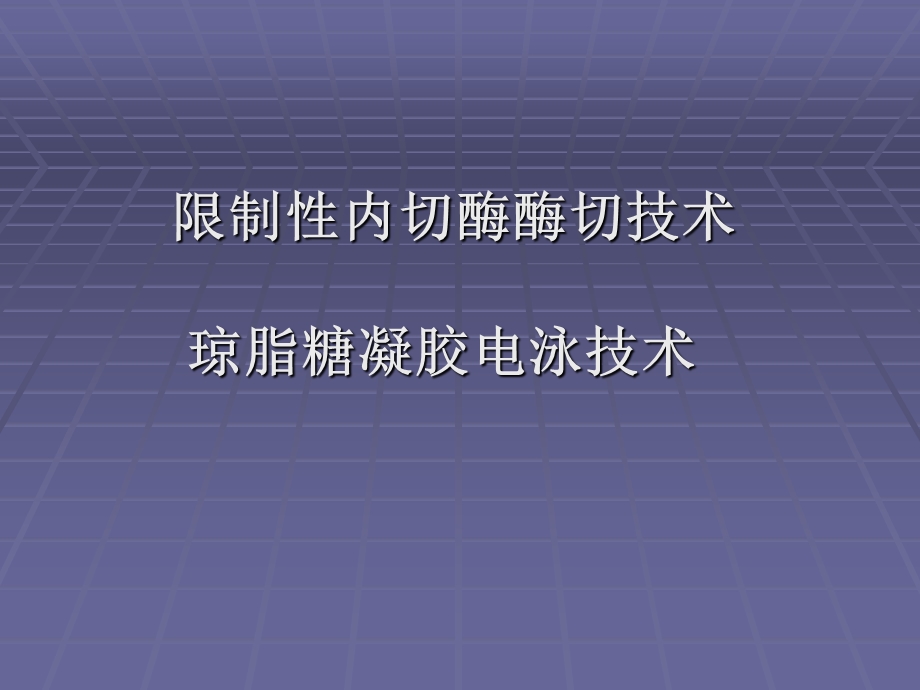 遗传病的分析5DNA扩增产物的鉴定.ppt_第2页